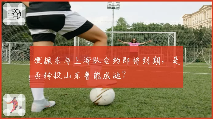 樊振东与上海队合约即将到期,是否转投山东鲁能成谜?