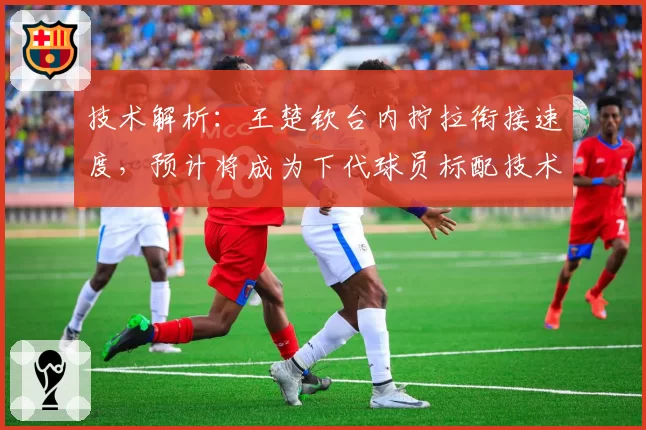技术解析：王楚钦台内拧拉衔接速度，预计将成为下代球员标配技术