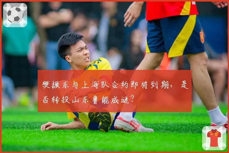 樊振东与上海队合约即将到期,是否转投山东鲁能成谜?